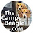 The Camp Beagle