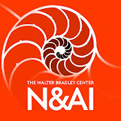 Center for Natural and Artificial Intelligence