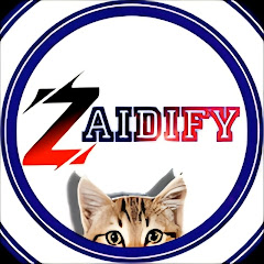 Channel thumbnail for Zaidify