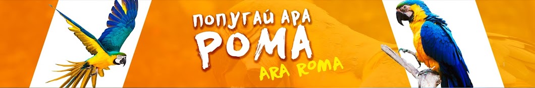 ARA ROMA Avatar canale YouTube 