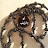 avatar of @amamuslim-u5q