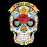 O9jUTfkmBIs-channel-avatar-UMBRA SKULL