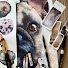 5ogbLAKKVBw-channel-avatar-Ashley Hawkes Watercolor Studio
