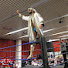 7xt1ACmNiIo-channel-avatar-Sheikh El Sham