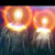 @SpiritSwarm avatar