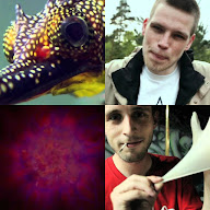 thumbnail img1x1
