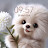 @elifarpack3980