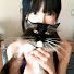 T-nb2Rk7wrg-channel-avatar-Gatinho Maratona Dramas