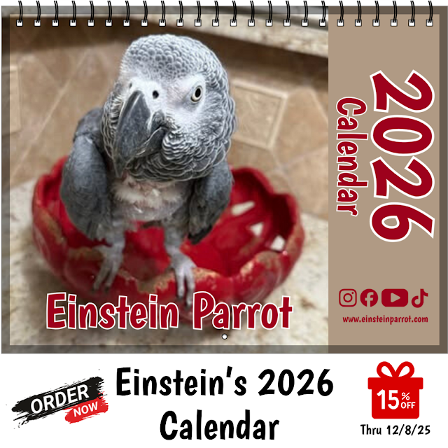 Post from Einstein Parrot