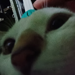 uoy kcufアイコン画像