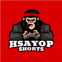 HsayOP 2.0 profile image