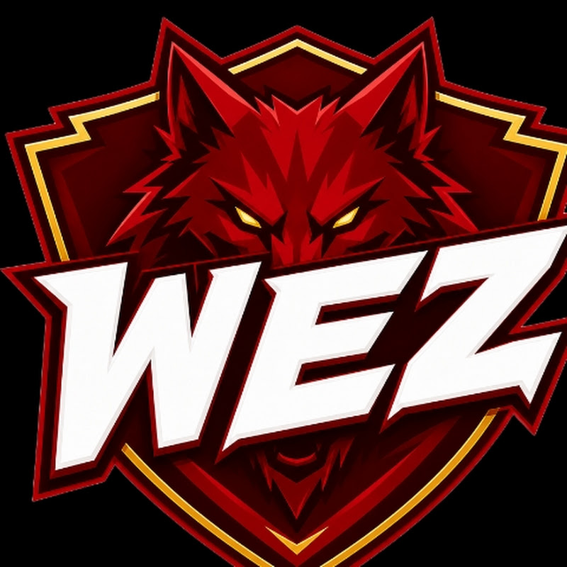 WOLF ESPORTS ZONE 