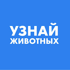 Узнай Животных avatar