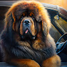 Автор