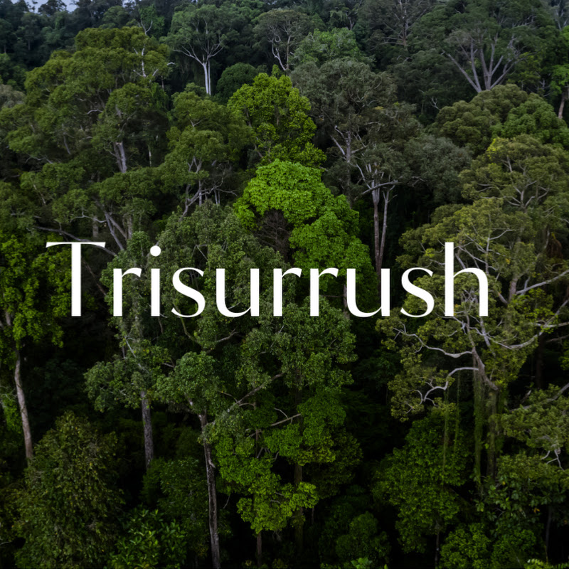 Trisurrush