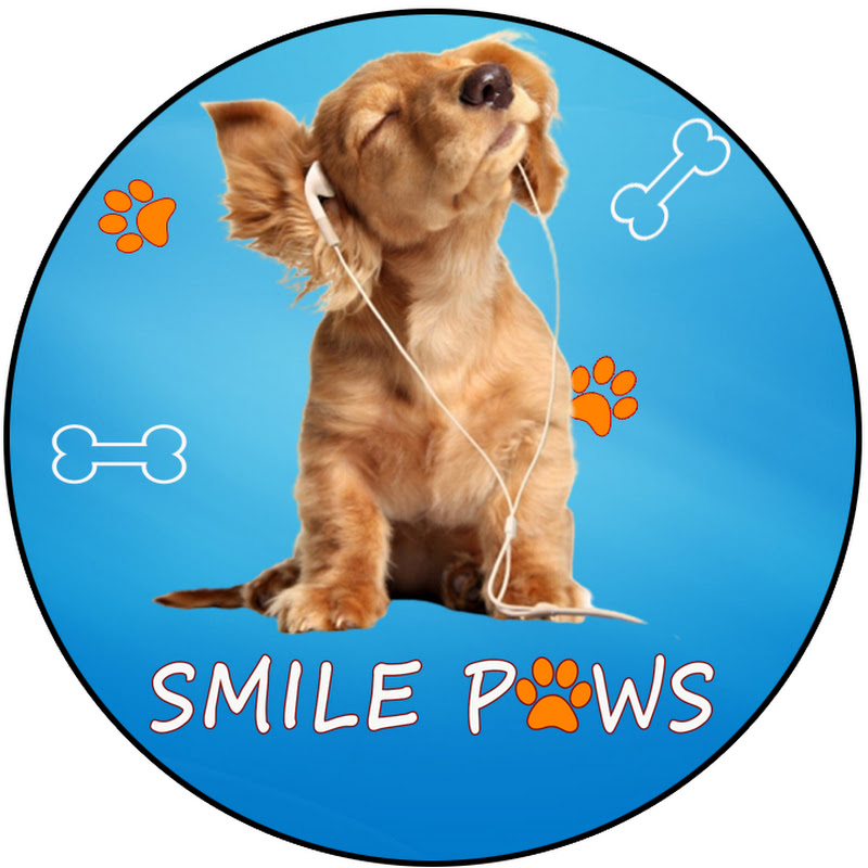 Smile Paws