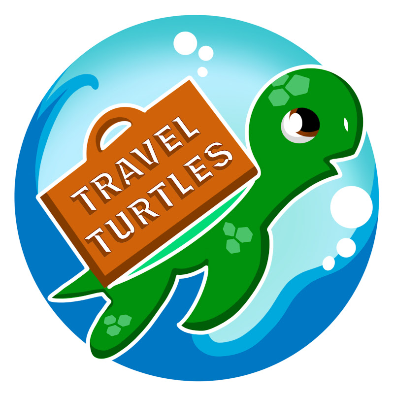 Travel Turtles