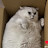 @표적-l
