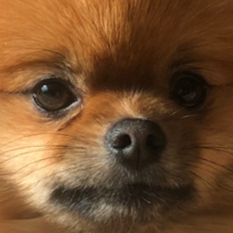 용용클태 [Y2KT]