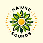 Nature Sounds 