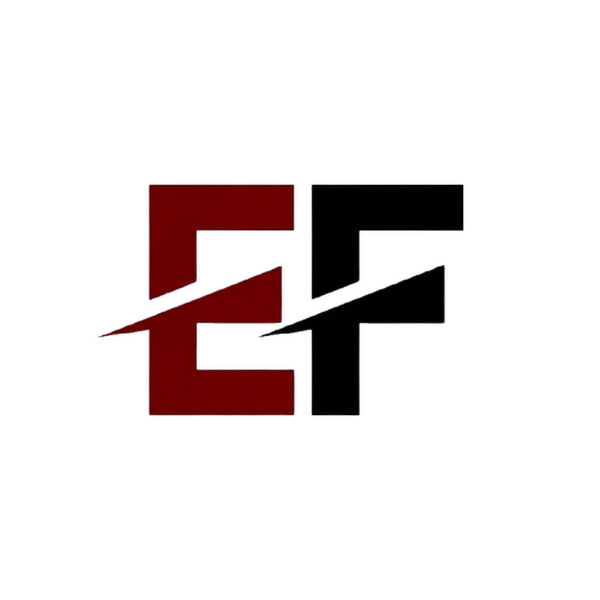 The Economic Frontline Logo