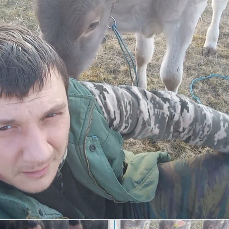 Село як є