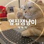 옆집잼냥이