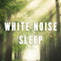 zB4B17ucwpo-channel-avatar-WHITE NOISE SLEEP