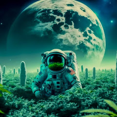 Discovery History Space Channel Avatar