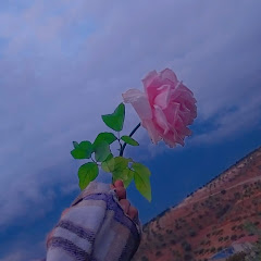 (Baraa roro)🩷🌷