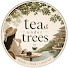 0MV70Mod4V4-channel-avatar-Tea Under Trees