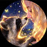 Az3Cc71Cu7E-channel-avatar-Andimals