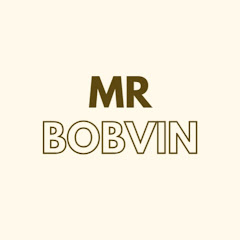 Mr Bobvin net worth