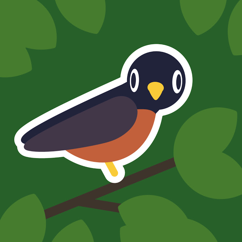 Flock Around