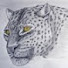 0ASRGwsWMFw-channel-avatar-a Leopard's Tail