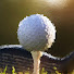 cblHJ2vScDc-channel-avatar-putter