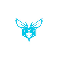 Charlotte Hornets