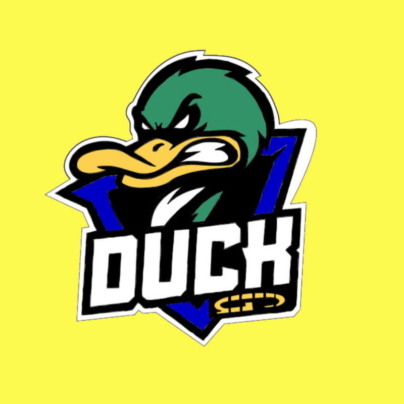 DuckGProject