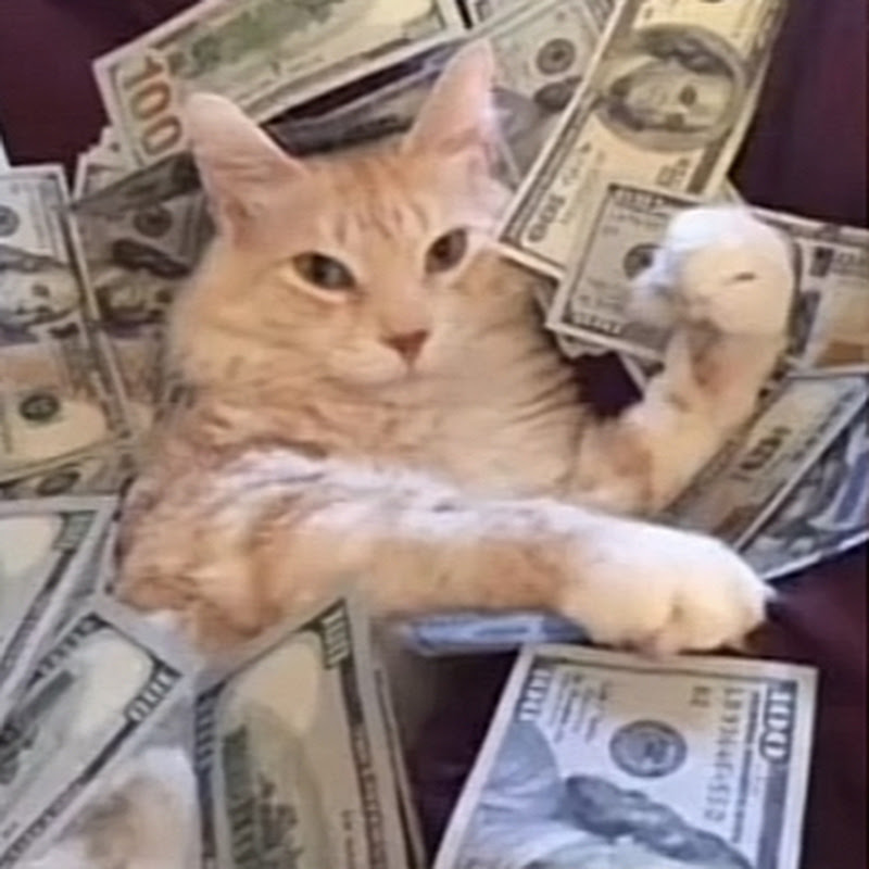 Flip2Profit