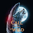 EVBEUFpzHoo-channel-avatar-CALL OF THE WILD