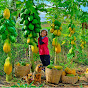 Tieu Lien Harvest Avatar