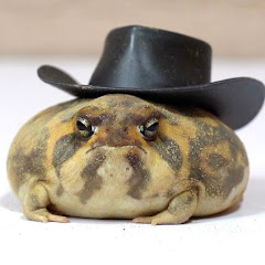 玲