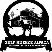 Gulf Breeze Alpaca Ranch & Lodging