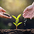 7QlNVOrsBKg-channel-avatar-The Potential Garden 