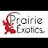 Prairie Exotics