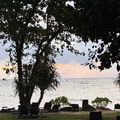 バートと京都と365の寺社アイコン画像