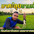 ZbXTqyaCJL4-channel-avatar-บ่าวดาว บ้านนา