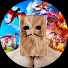 sk5prOhXQ2g-channel-avatar-Mr Smart Guy