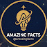 u-0Goo0mJZ0-channel-avatar-@mazingfacts