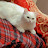 @nadaahmad-q4x